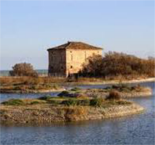 Alla Riserva Sentina tornano le escursioni nella storia: appuntamento domenica 30 novembre